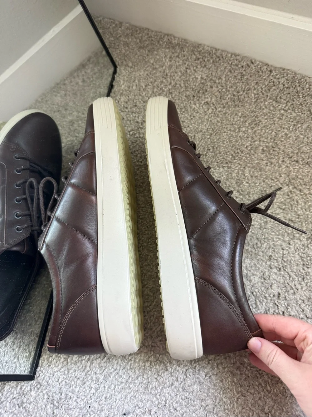 Ecco size 12